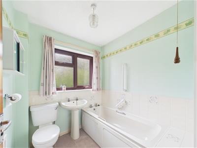 Picture 21
